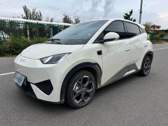 BYD Seagull Smart Drive 405km Flight Edition - ფოტო 1