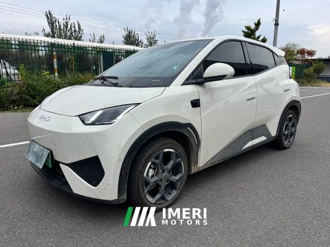2025 BYD Seagull Smart Drive 405km Flight Edition - ავტომობილი ჩინეთიდან
