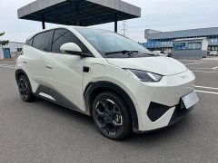 BYD Seagull Smart Drive 405km Flight Edition - ფოტო 3