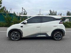BYD Seagull Smart Drive 405km Flight Edition - ფოტო 4