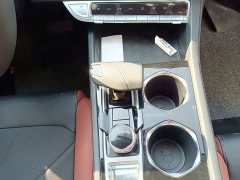 Changan Eado Enjoy Plus Blue Whale NE 1.4T GDI DCT Luxury Edition - ფოტო 11