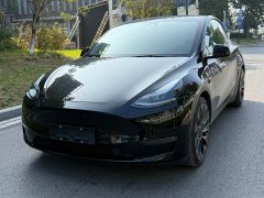 Tesla Model Y Performance All-Wheel Drive - ფოტო 1