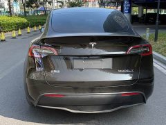 Tesla Model Y Performance All-Wheel Drive - ფოტო 10