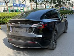 Tesla Model Y Performance All-Wheel Drive - ფოტო 11