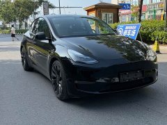 Tesla Model Y Performance All-Wheel Drive - ფოტო 3