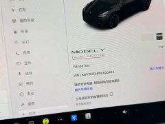 Tesla Model Y Performance All-Wheel Drive - ფოტო 7