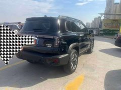 Great Wall Dachshund 2.0T DCT Chinese Rural Dog Edition - ფოტო 7
