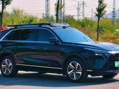 Great Wall WEY Blue Mountain Four-Wheel Drive Ultra - ფოტო 3