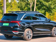 Great Wall WEY Blue Mountain Four-Wheel Drive Ultra - ფოტო 4