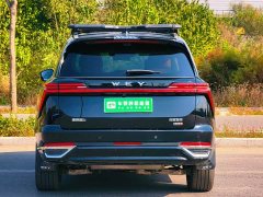 Great Wall WEY Blue Mountain Four-Wheel Drive Ultra - ფოტო 5