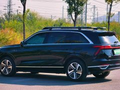 Great Wall WEY Blue Mountain Four-Wheel Drive Ultra - ფოტო 6