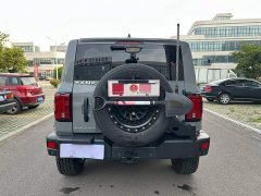 Tank 300 Off-Road Edition 2.0T Challenger - ფოტო 7
