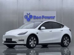 Tesla Model Y Standard Range RWD - ფოტო 1