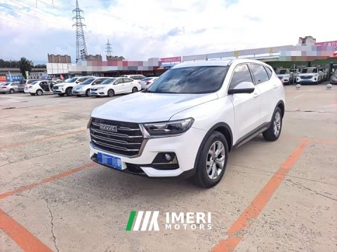 2022 Haval H6 National Trend 1.5T Automatic Champion Edition - ავტომობილი ჩინეთიდან