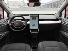 Neta V Standard Range Industry Custom Edition - ფოტო 11