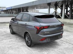Neta V Standard Range Industry Custom Edition - ფოტო 4