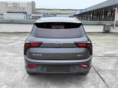 Neta V Standard Range Industry Custom Edition - ფოტო 6