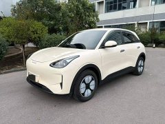 Geely Xing Yuan 310km Youth Edition - ფოტო 1