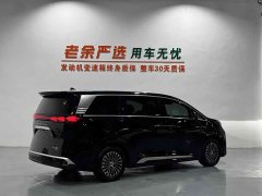 Denza D9 DM-i AWD Premium Navigation Edition - ფოტო 8