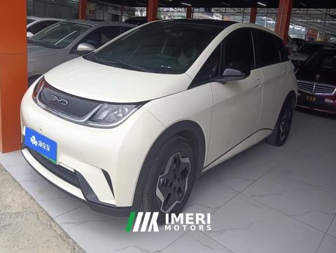 2022 BYD Dolphin 405km Fashion Edition - ავტომობილი ჩინეთიდან