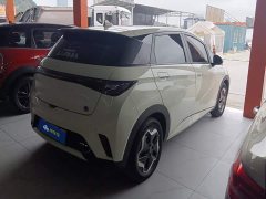 BYD Dolphin 405km Fashion Edition - ფოტო 3
