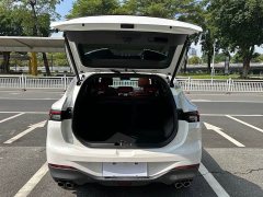 Dongfeng Fenghang T5 EVO 1.5TD DCT Star Shine Edition - ფოტო 17