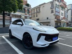 Dongfeng Fenghang T5 EVO 1.5TD DCT Star Shine Edition - ფოტო 3