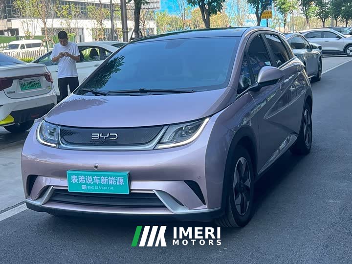 BYD Dolphin 420km Vitality Edition - ავტომობილი ჩინეთიდან