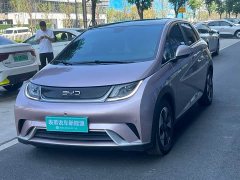 BYD Dolphin 420km Vitality Edition - ფოტო 1