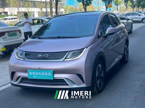 2024 BYD Dolphin 420km Vitality Edition - ავტომობილი ჩინეთიდან