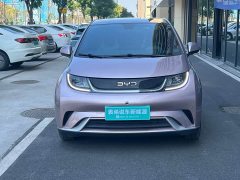 BYD Dolphin 420km Vitality Edition - ფოტო 2