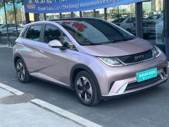 BYD Dolphin 420km Vitality Edition - ფოტო 3