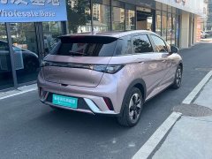 BYD Dolphin 420km Vitality Edition - ფოტო 5