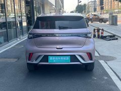 BYD Dolphin 420km Vitality Edition - ფოტო 6