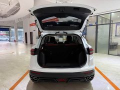 Geely Bingyue 1.4T Manual Golden Edition - ფოტო 8