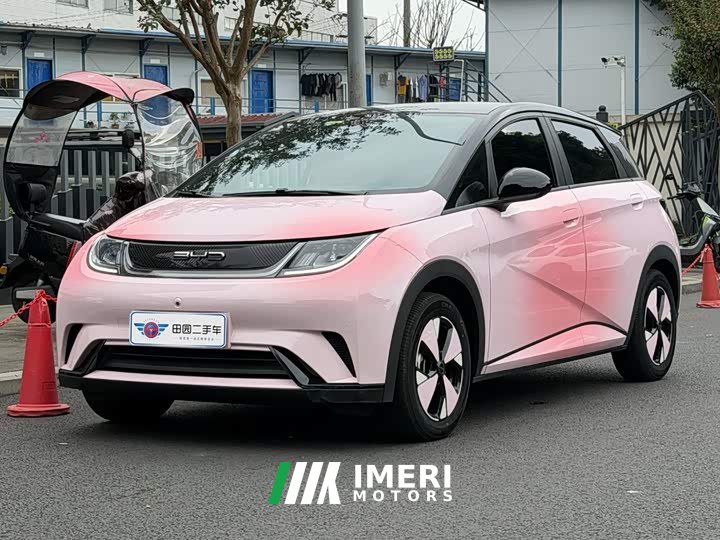 BYD Dolphin 420km Fashion Edition - ავტომობილი ჩინეთიდან