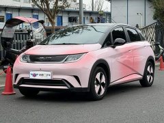 BYD Dolphin 420km Fashion Edition - ფოტო 1