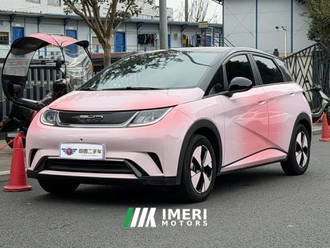 2024 BYD Dolphin 420km Fashion Edition - ავტომობილი ჩინეთიდან