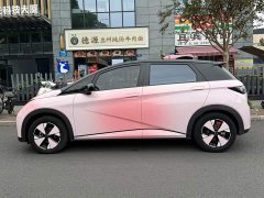 BYD Dolphin 420km Fashion Edition - ფოტო 3
