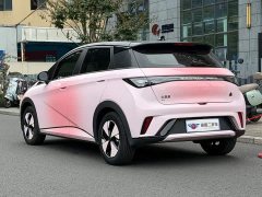 BYD Dolphin 420km Fashion Edition - ფოტო 4