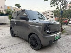 Geely Panda Mini 200km Endurance Edition - ფოტო 3