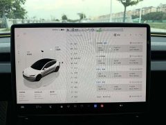 Tesla Model 3 Rear-Wheel Drive - ფოტო 11