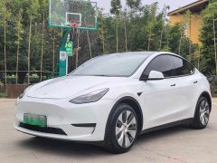 Tesla Model Y Rear-Wheel Drive - ფოტო 1