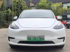 Tesla Model Y Rear-Wheel Drive - ფოტო 2