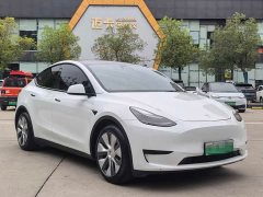 Tesla Model Y Rear-Wheel Drive - ფოტო 3