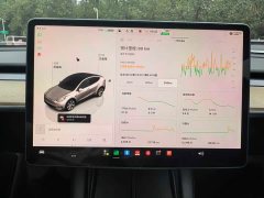 Tesla Model Y Rear-Wheel Drive - ფოტო 9