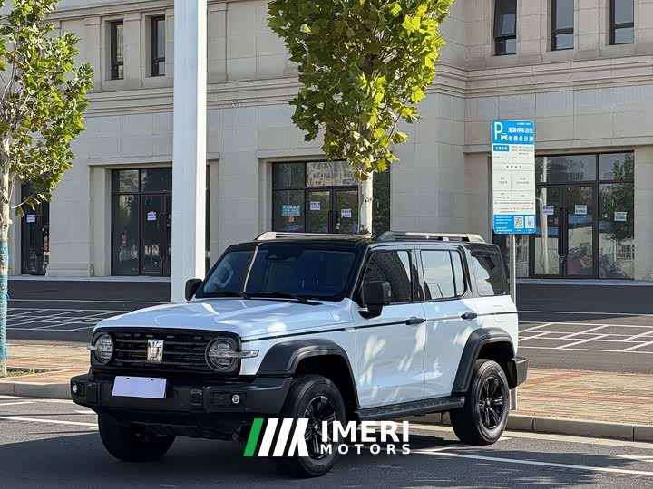 Tank 300 Off-Road Edition 2.0T Conqueror - ავტომობილი ჩინეთიდან