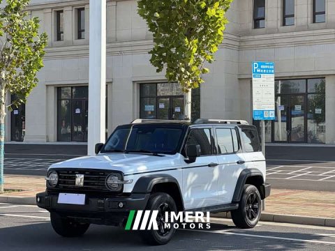 2023 Tank 300 Off-Road Edition 2.0T Conqueror - ავტომობილი ჩინეთიდან