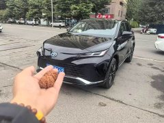 Toyota Wei Sa 2.5L Intelligent Hybrid Dual-Motor RWD Luxury Edition - ფოტო 3