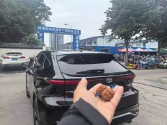 Toyota Wei Sa 2.5L Intelligent Hybrid Dual-Motor RWD Luxury Edition - ფოტო 6